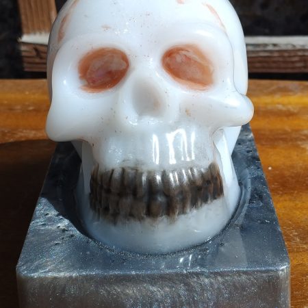 Resin Skull with base