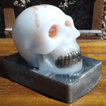 Resin Skull with base