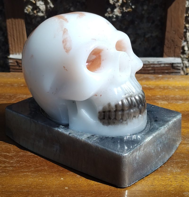 Resin Skull with base
