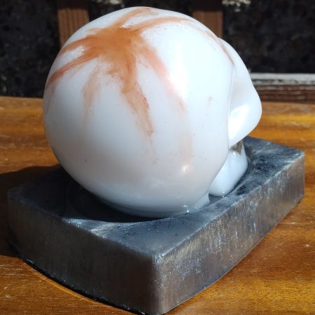 Resin Skull with base