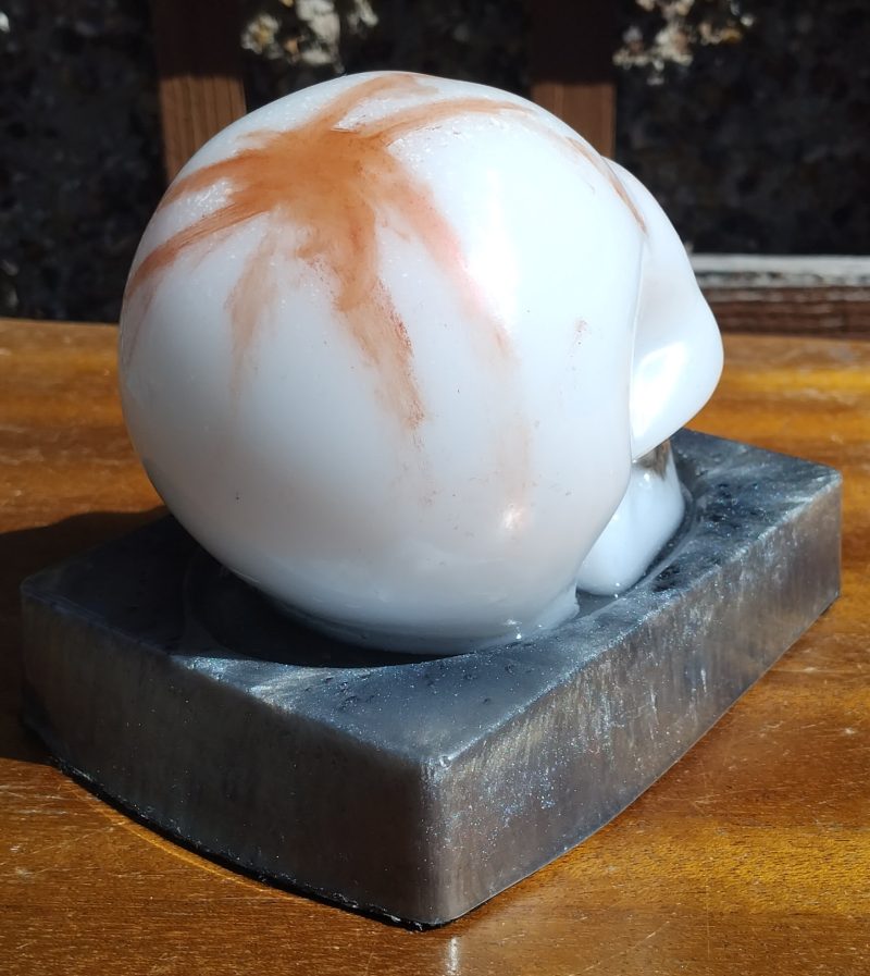Resin Skull with base