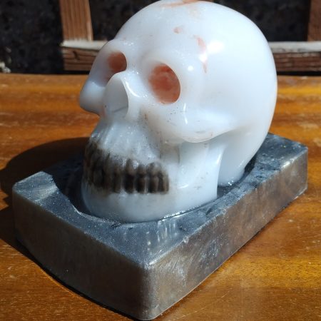 Resin Skull with base