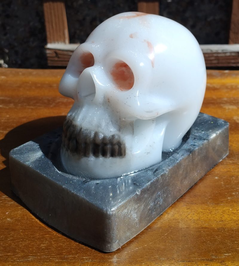 Resin Skull with base