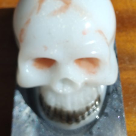 Resin Skull with base