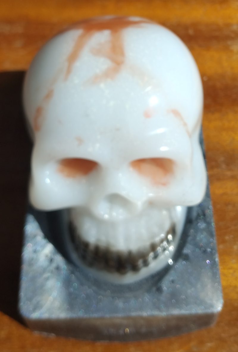 Resin Skull with base