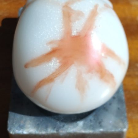 Resin Skull with base