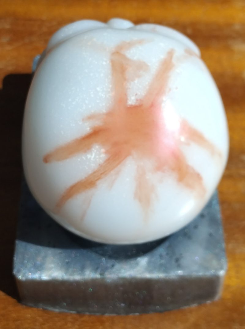Resin Skull with base
