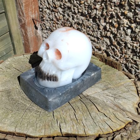 Resin Skull with base