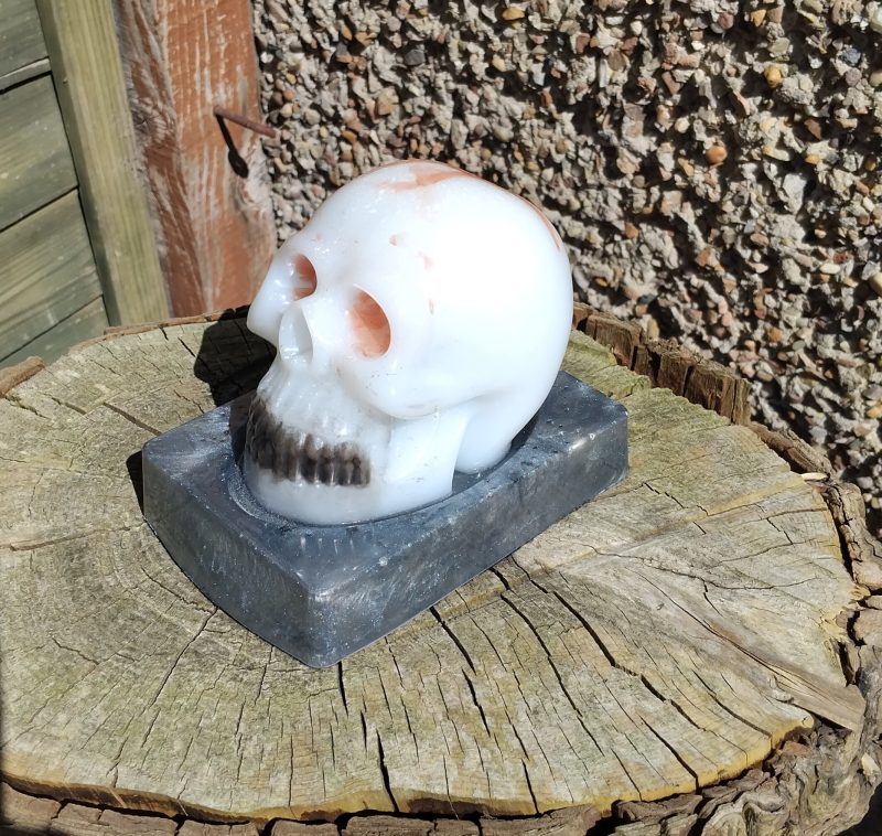 Resin Skull with base