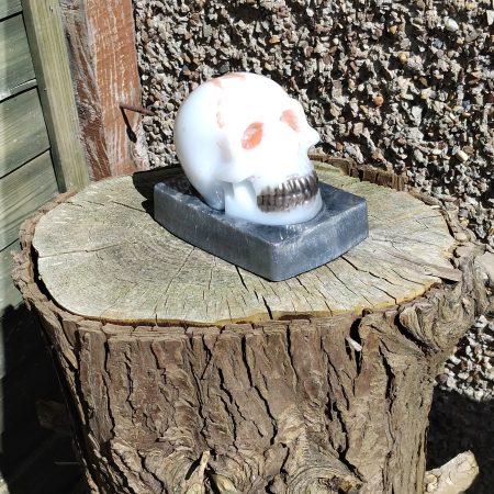 Resin Skull with base