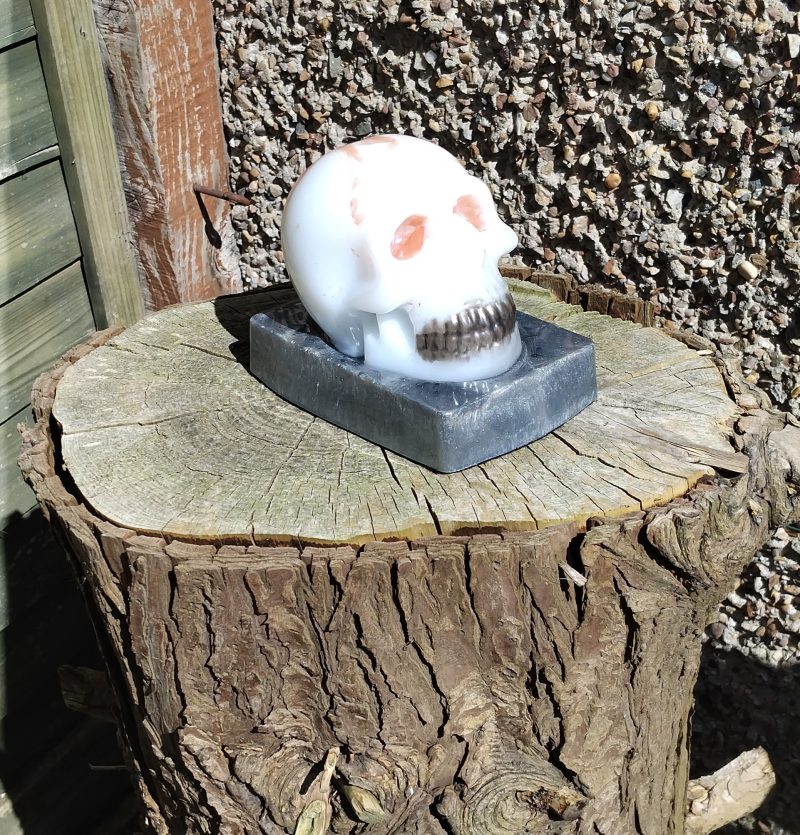 Resin Skull with base