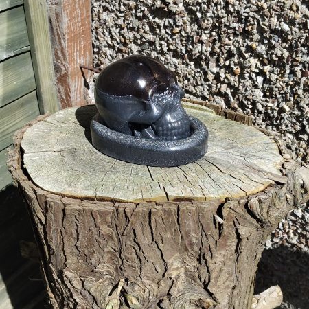 Large Skull with Oval Base