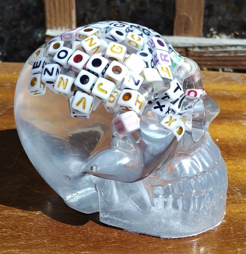 Large Resin Skull Clear with Alphabet Cubes