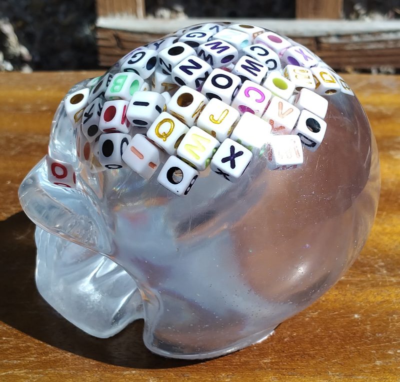 Large Resin Skull Clear with Alphabet Cubes