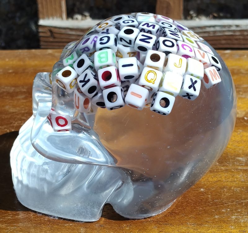 Large Resin Skull Clear with Alphabet Cubes