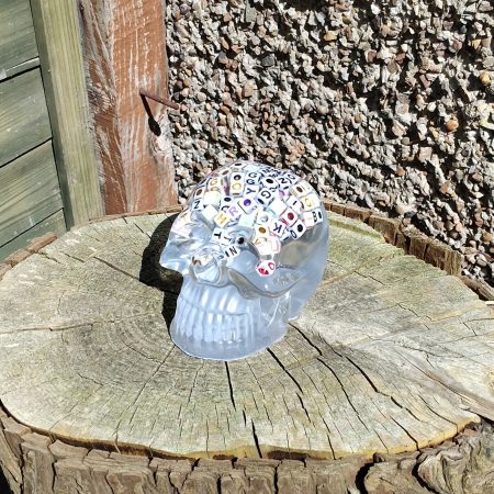 Large Resin Skull Clear with Alphabet Cubes