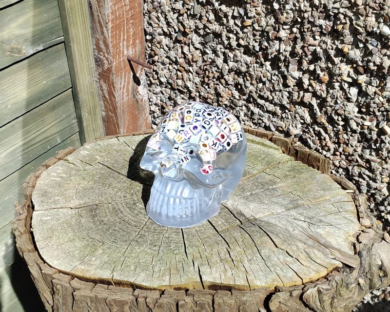 Large Resin Skull Clear with Alphabet Cubes