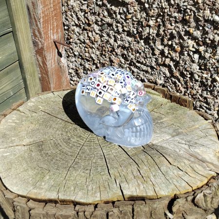 Large Resin Skull Clear with Alphabet Cubes