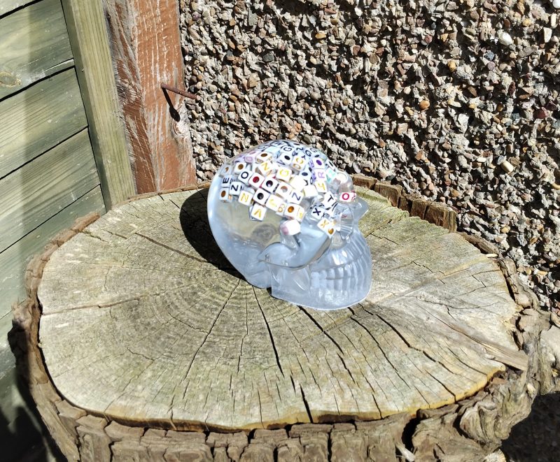 Large Resin Skull Clear with Alphabet Cubes