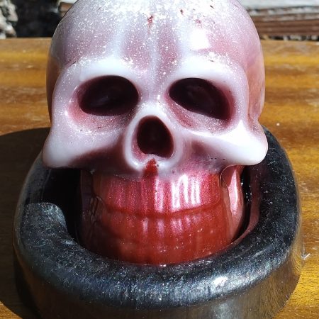Large Resin Skull with an Oval Base