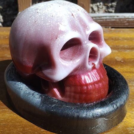 Large Resin Skull with an Oval Base
