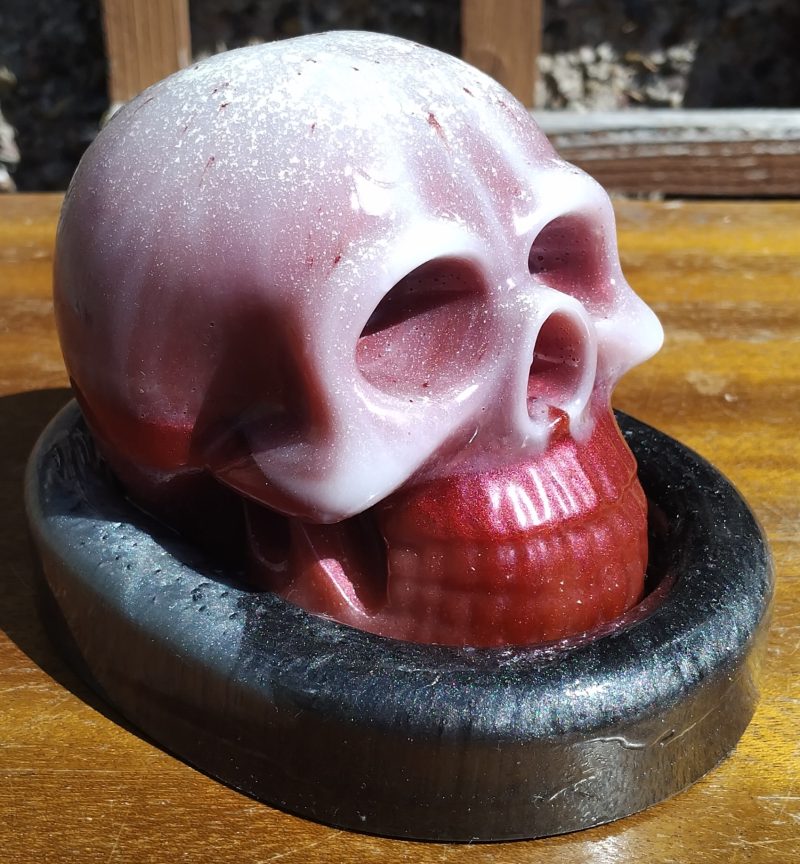 Large Resin Skull with an Oval Base