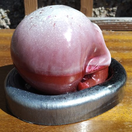 Large Resin Skull with an Oval Base