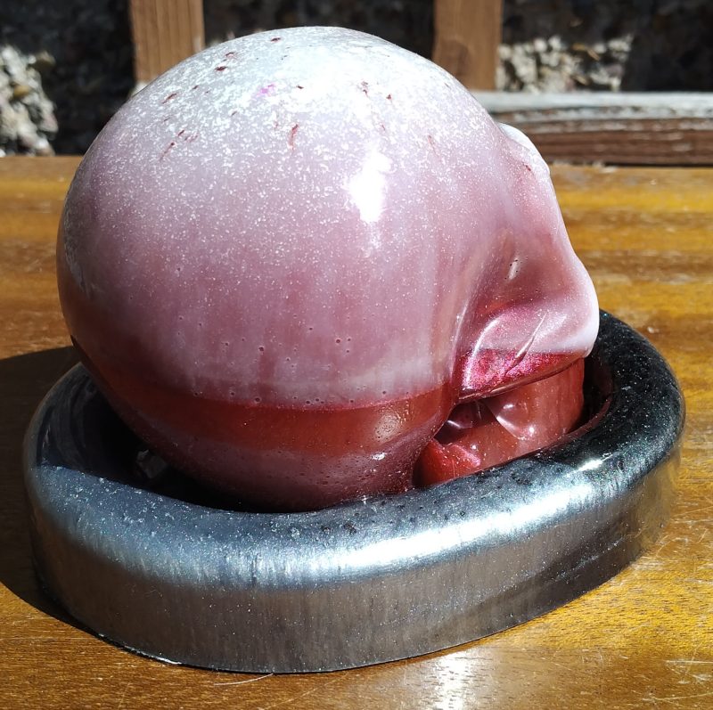 Large Resin Skull with an Oval Base