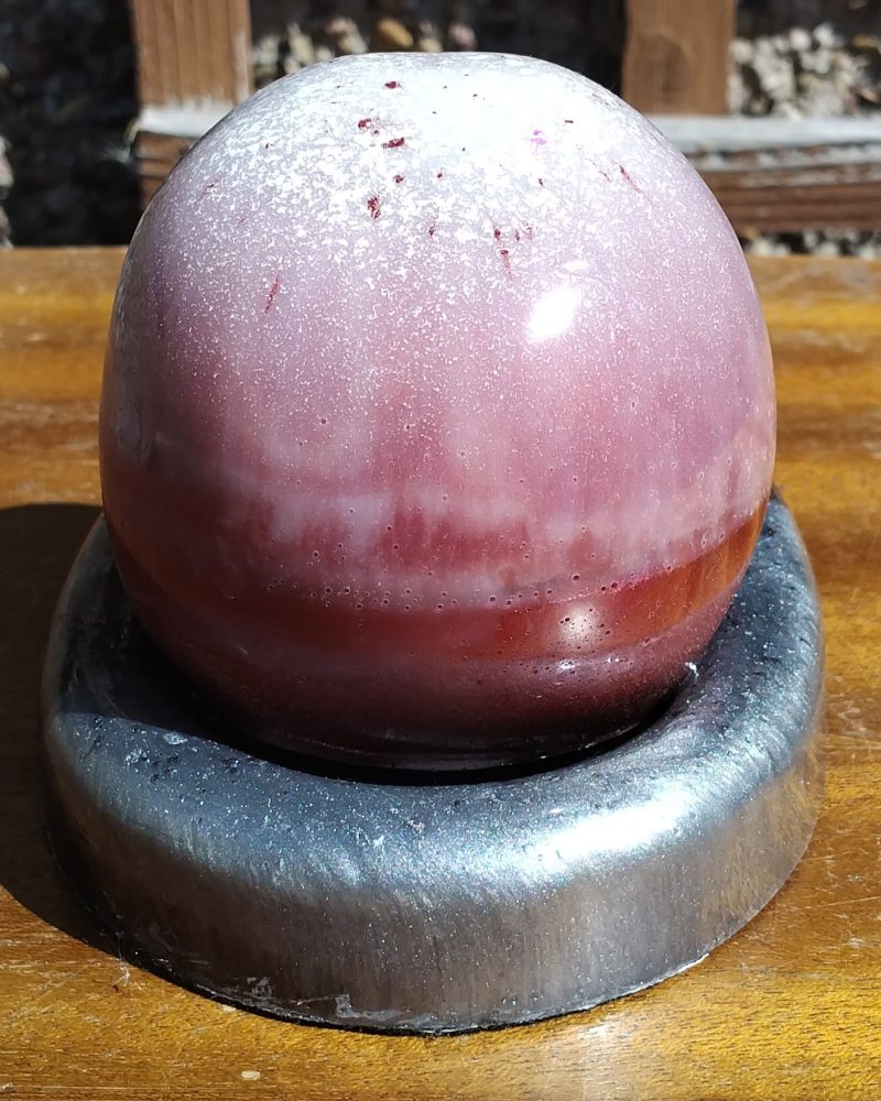 Large Resin Skull with an Oval Base