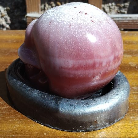Large Resin Skull with an Oval Base
