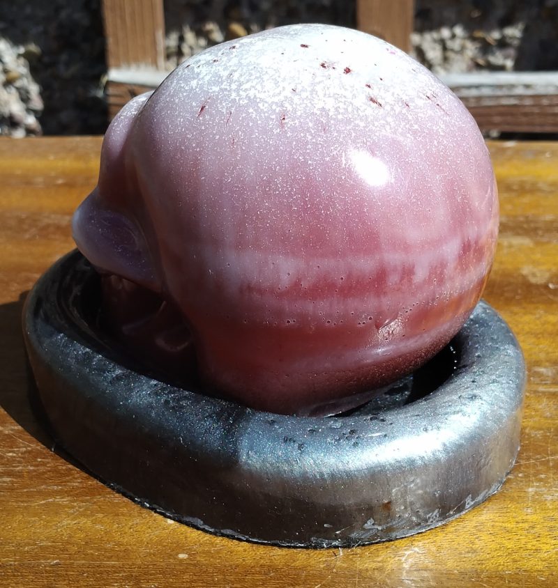 Large Resin Skull with an Oval Base