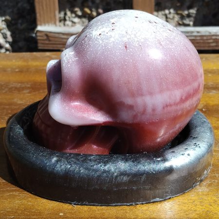 Large Resin Skull with an Oval Base