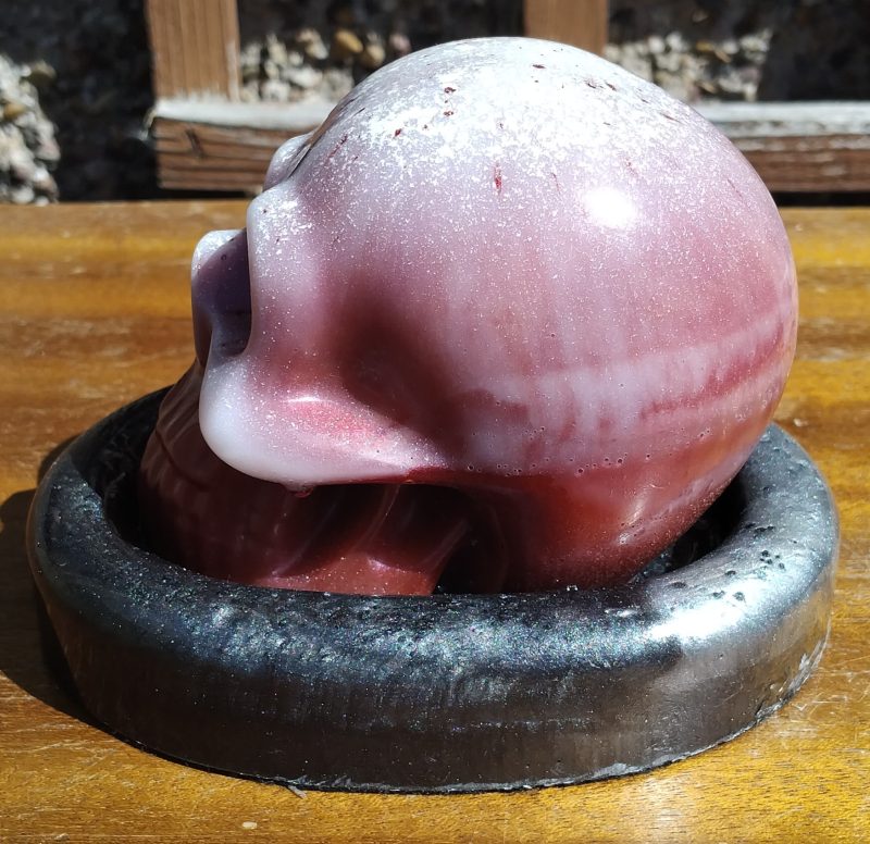 Large Resin Skull with an Oval Base