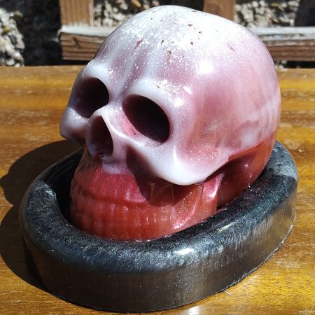 Large Resin Skull with an Oval Base