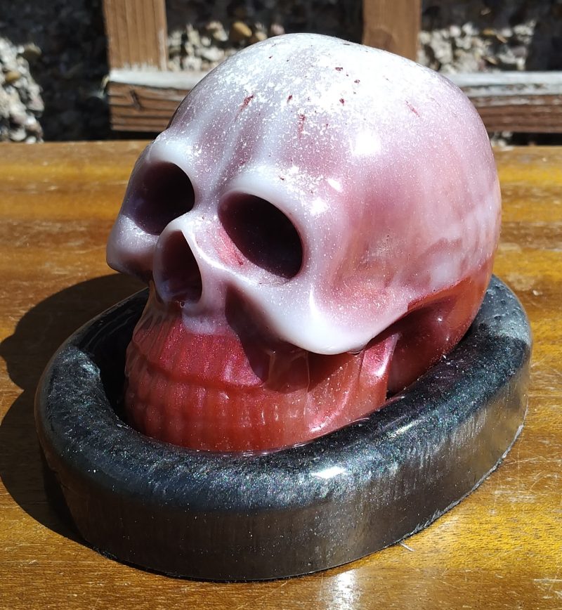 Large Resin Skull with an Oval Base