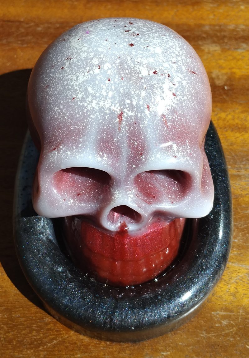 Large Resin Skull with an Oval Base