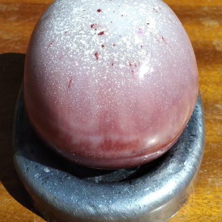 Large Resin Skull with an Oval Base
