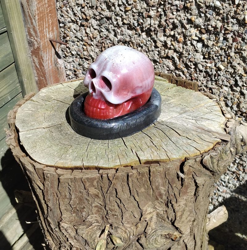 Large Resin Skull with an Oval Base