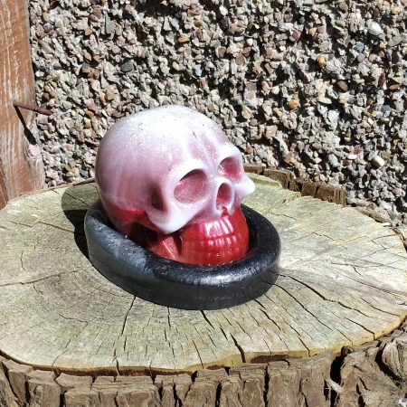 Large Resin Skull with an Oval Base