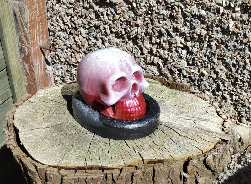 Large Resin Skull with an Oval Base