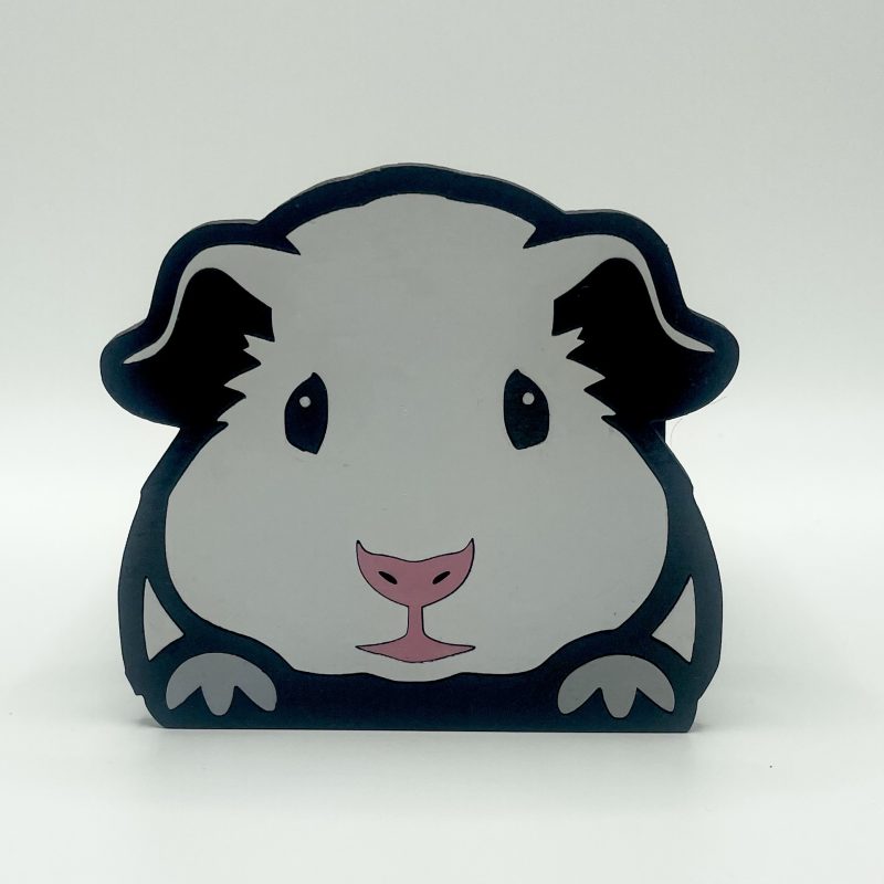 Guinea Pig Planter