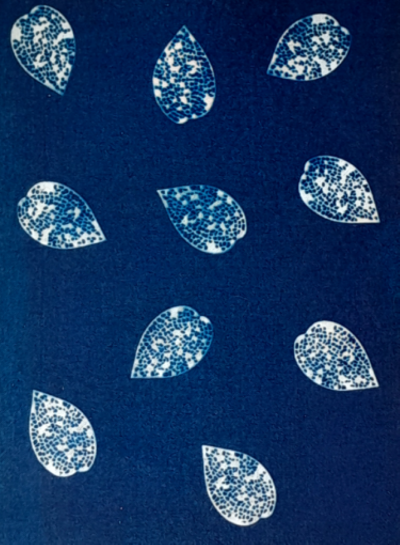 Leaf design cyanotype small tote bag