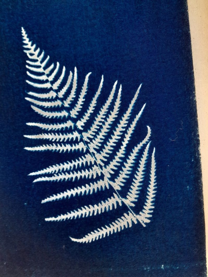 Fern cyanotype small tote bag