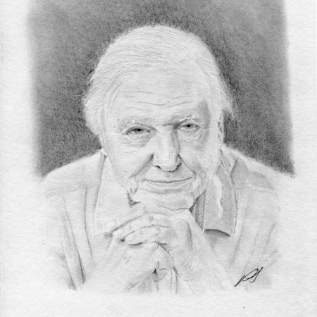 Realistic graphite pencil drawing of Sir David Attenborough, capturing a warm, kind smile and the detailed features of the beloved naturalist.