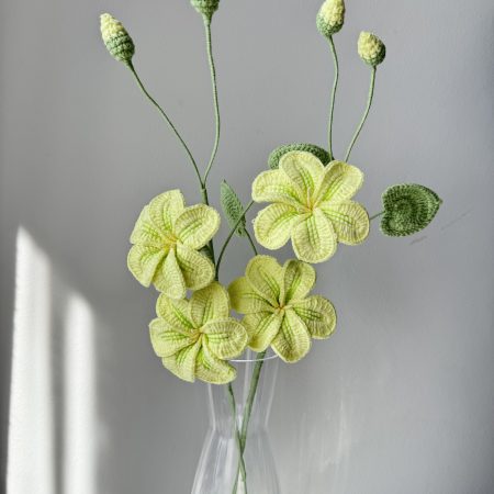 Crochet Tung Flower with Different Colours