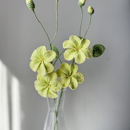 Crochet Tung Flower with Different Colours