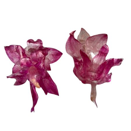 Handmade Resin Flower Earrings – Real Winter Cactus, Botanical Jewelry