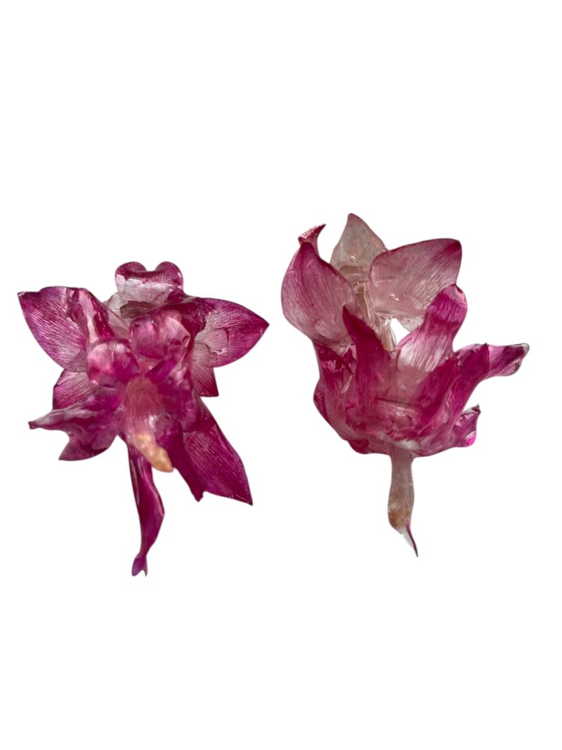 Handmade Resin Flower Earrings – Real Winter Cactus, Botanical Jewelry