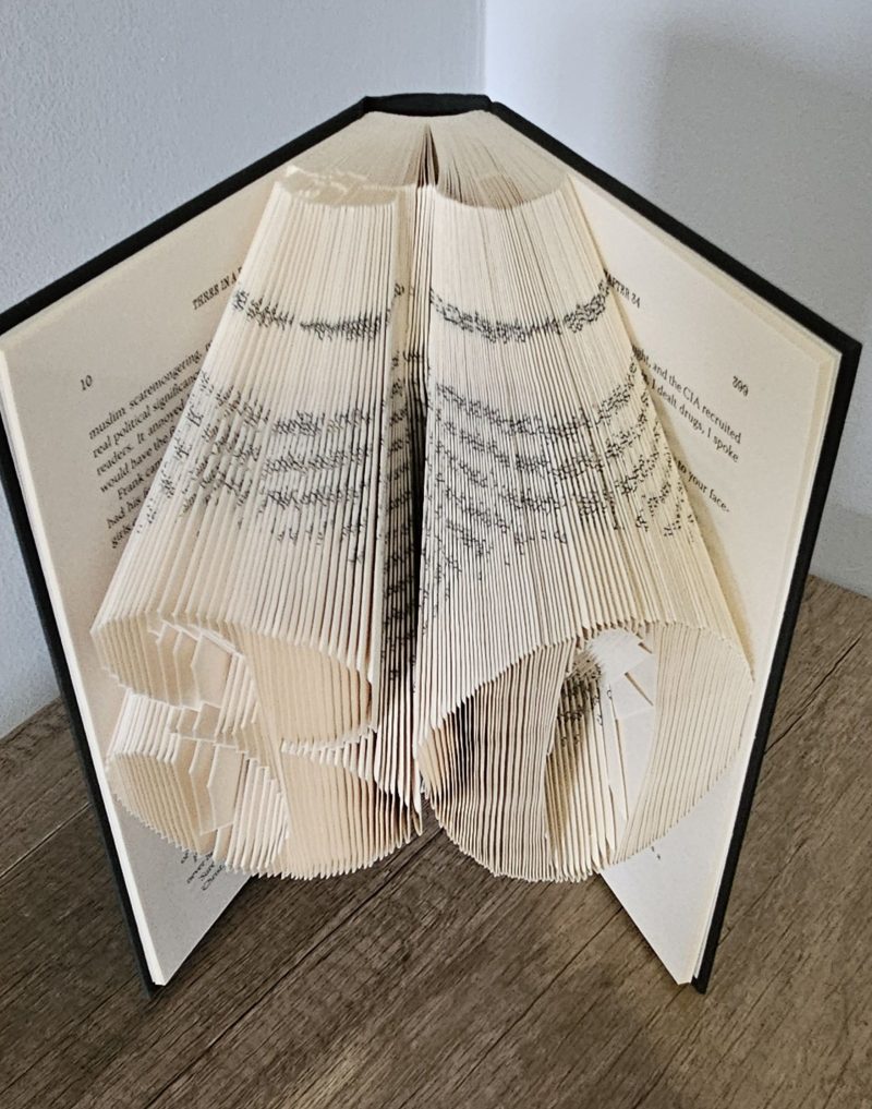 Folded Book Art. 30th Birthday. Recycled Book Gift.