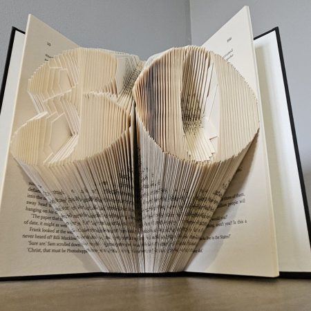 Folded Book Art. 30th Birthday. Recycled Book Gift.